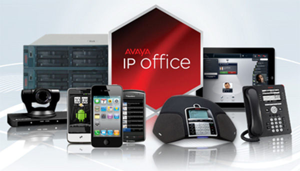 Avaya IP Office VoIP Business Phone System